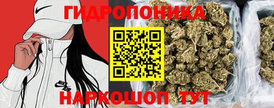 мяу мяу мука Гатчина