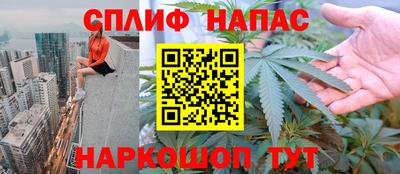 spice Гай