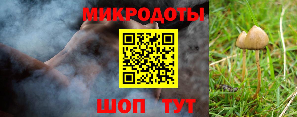 Новоуральск  Галлюциногенные грибы мухоморы  где купить   Вход с VPN 